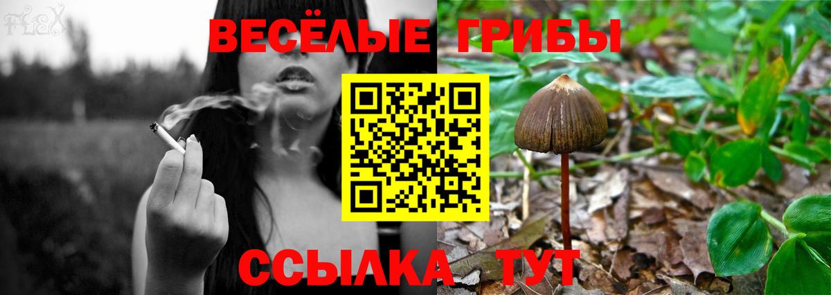 Псилоцибиновые грибы прущие грибы Старый Оскол
